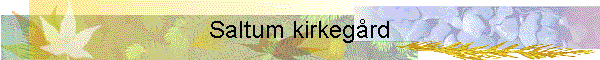 Saltum kirkegrd