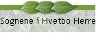 Sognene i Hvetbo herred