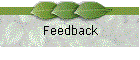 Feedback