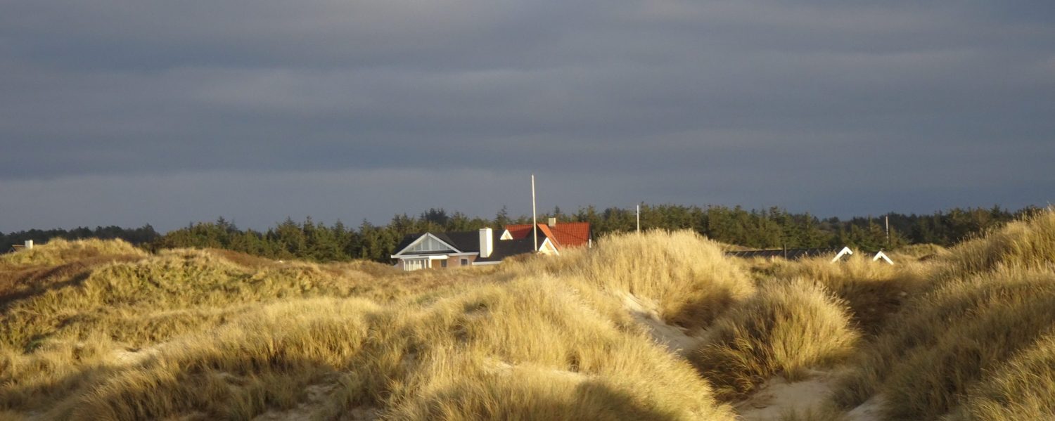 Slægter fra Vendsyssel